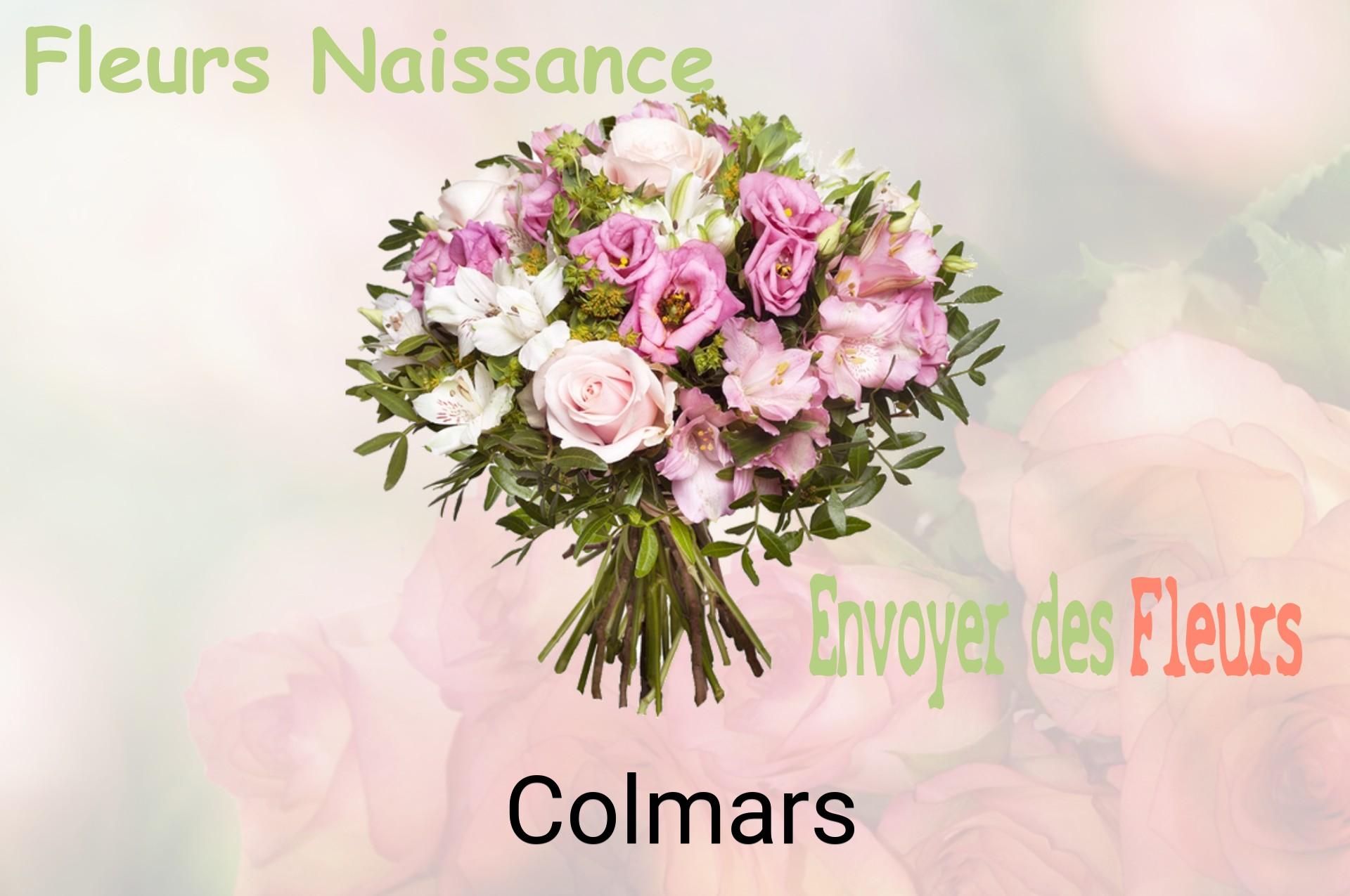 Bouquet de fleurs de naissance livré à Colmars