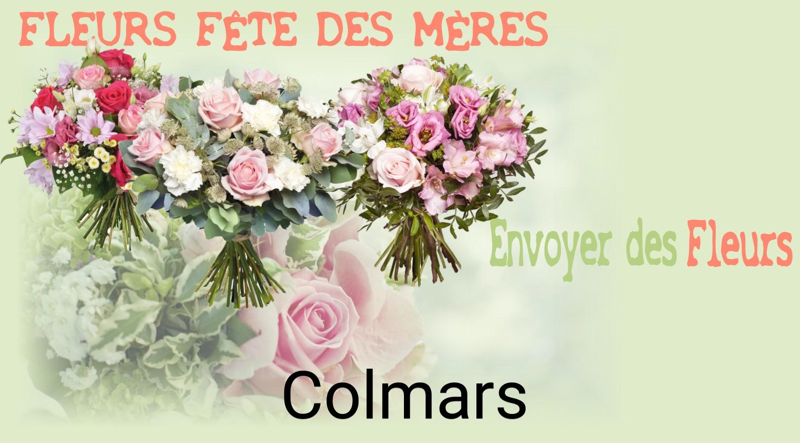 Bouquet de Fête des Mères livré à Colmars